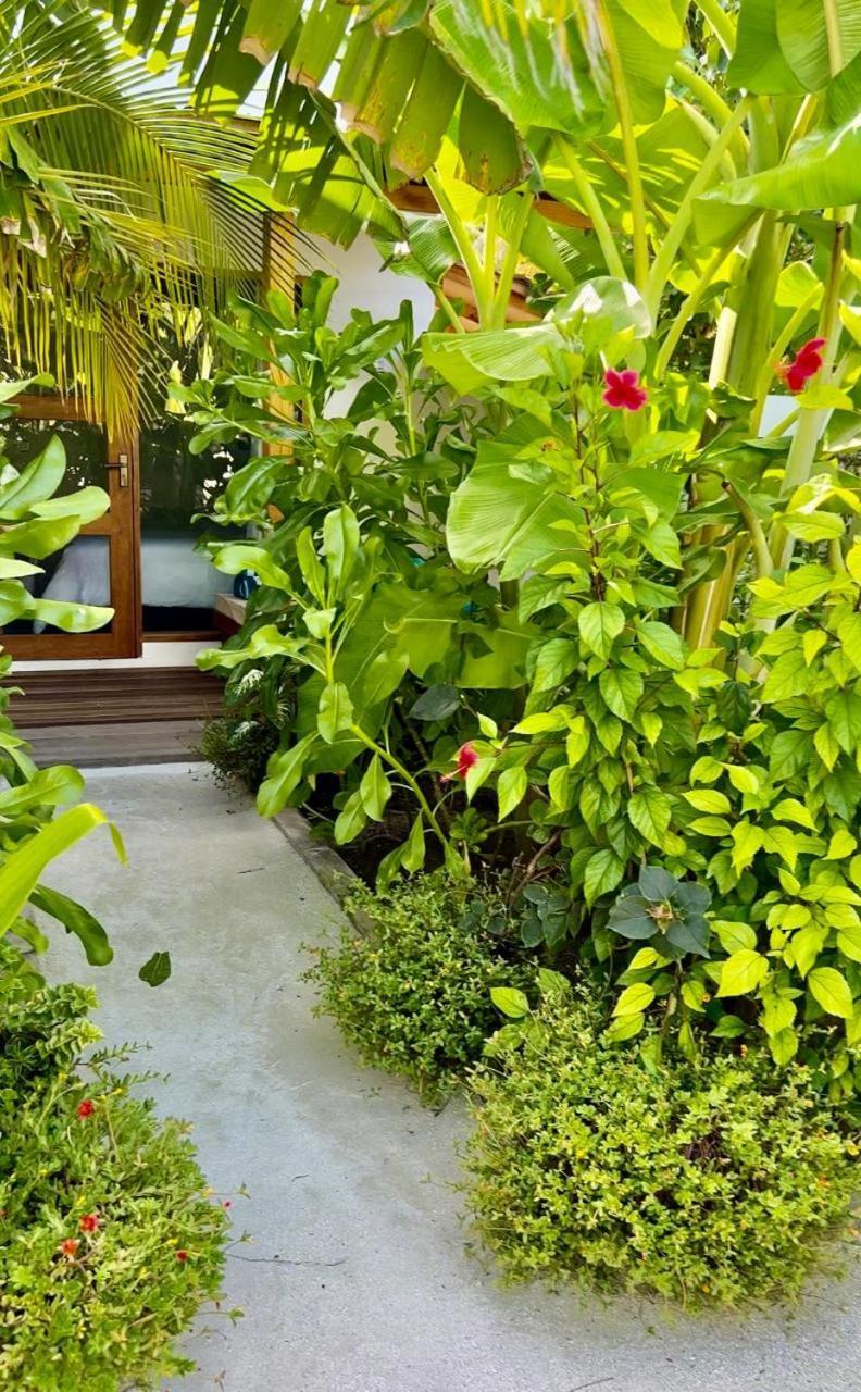 Seaside Dhigurah Hotel Dhigurah  Bagian luar foto